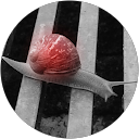 Mylène Mapilo profile picture